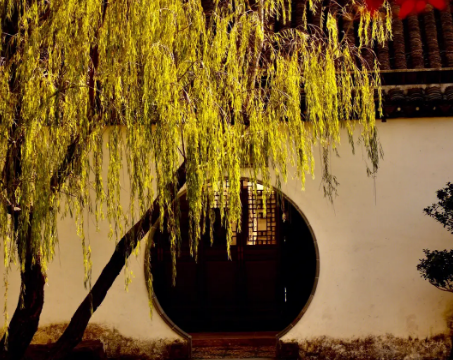 5煒奕1.jpg 5煒奕1.jpg